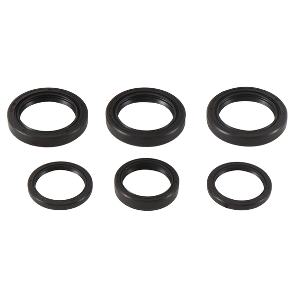 All Balls All Balls Differential Seal Kit 25-2065-5 25-2065-5